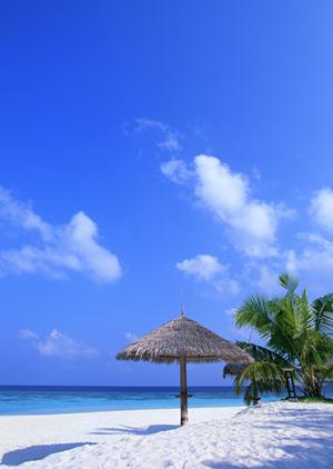 東山温泉の魅力と楽しみ方をご紹介！リラックスと伝統文化を満喫する温泉旅行ガイド