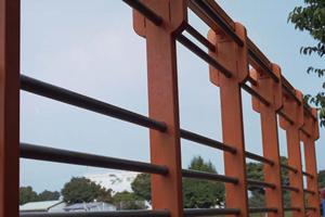 楽しい！カワウソカフェに行ってみよう