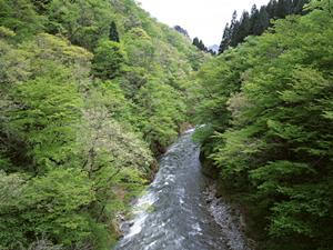 北海道札幌市にある東横INN札幌駅西口北大前：快適な宿泊体験と便利なアクセスを提供するビジネスホテル