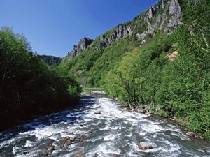 貴重な金箔貼り体験を体験学習で