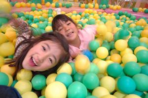 サーフィンスクールを探しているのなら