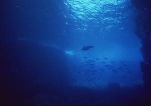 家族で楽しむ石垣島アクティビティ完全ガイド！安全で癒される体験を見つけよう