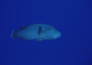 燕三条駅から徒歩4分の快適ステイ【東横INN燕三条駅前】の魅力と詳細情報