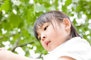 東京のビジネスと観光に最適な東横INN溜池山王駅官邸南の魅力と詳細情報