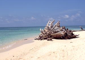 安心・安全に楽しむ！初心者から家族連れまで満足するブータン旅行の完全ガイド