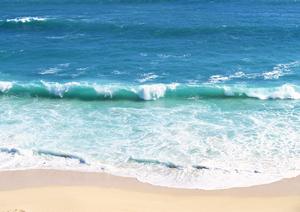 操縦士を目指す人のためのスクール