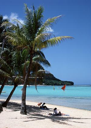 静岡県三島市のビジネスホテル【東横INN富士山三島駅】の魅力と詳細情報