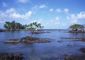 さいたま新都心にあるビジネスホテルの魅力：東横INNさいたま新都心の詳細ガイド