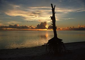 東横INN東武宇都宮駅西口｜栃木県宇都宮市のビジネスホテル・格安宿泊予約