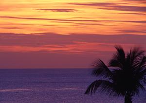 京都滞在に最適なヴィラージュ京都｜和室と大浴場で上質な時間を過ごすホテルの魅力