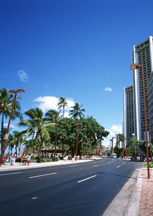 お洒落な空間で人気のハリネズミカフェ