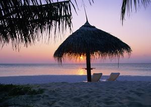 別府温泉 竹と椿のお宿 花べっぷ – 贅沢なひとときを提供する温泉宿