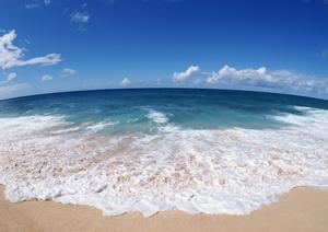 伊豆高原の景観と温泉を満喫できる赤沢温泉ホテル：絶景と癒しのリゾートステイ