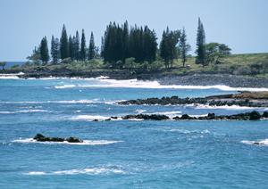 島根県松江駅前のビジネスホテル【東横INN松江駅前】の魅力と詳細情報