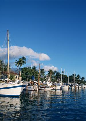岩手県北上市の快適な滞在を提供する東横INN北上駅新幹線口の魅力と詳細情報