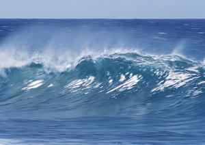 埼玉県志木市にある安心・便利なビジネスホテル｜東横INN志木駅東口の魅力と詳細情報