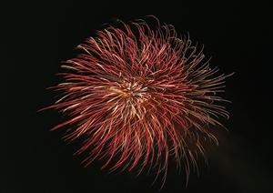 小豆島観光をもっと楽しくするには